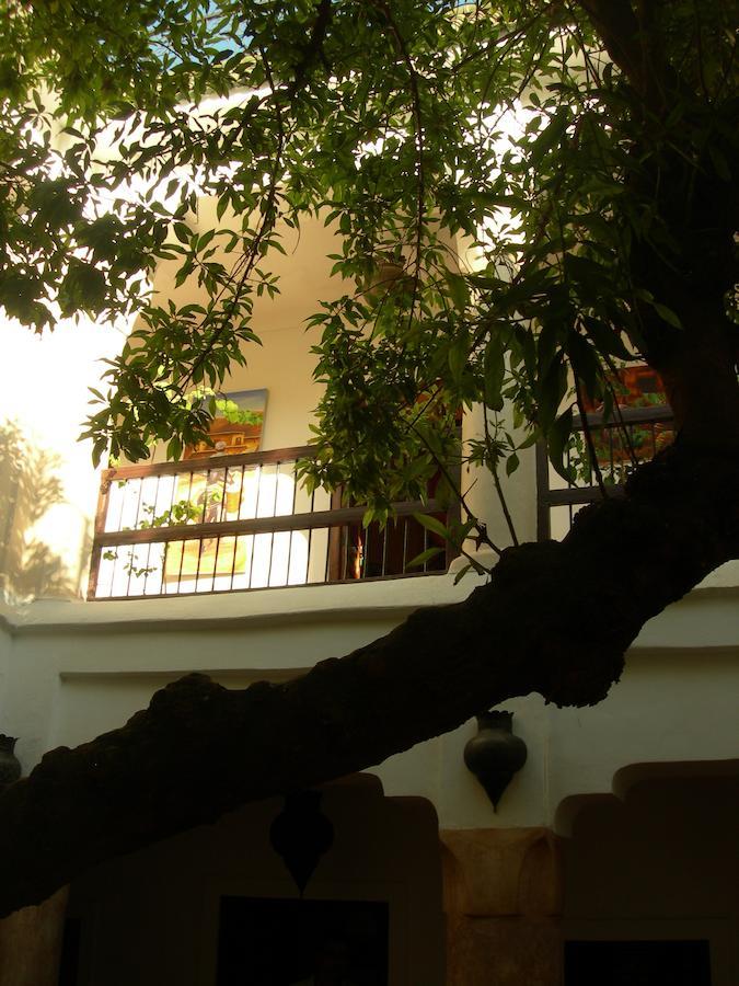 Riad Aldiana Marakéš Exteriér fotografie